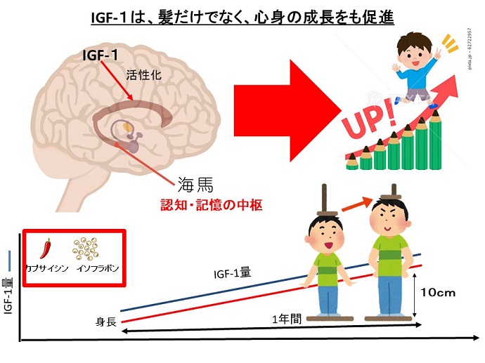 円形脱毛症　病院